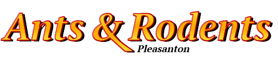 Pleasanton Ant Exterminator & Rodent Control Company Logo